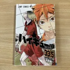 ハイキュー!! 33.5 漫画