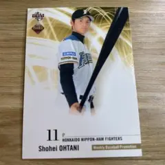 2025年最新】大谷翔平 2013 bbm ルーキーエディションの人気