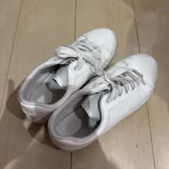 Item thumbnail for item 577856a4-6cc8-4e69-9c3f-10803d334941