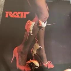 RATT レコード フィッシュネットデザイン