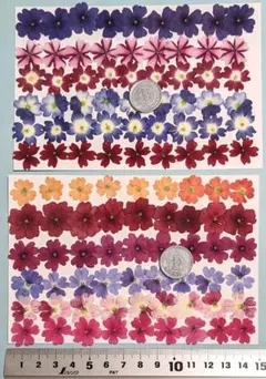 MORI MORI様 リクエスト 2点 まとめ商品