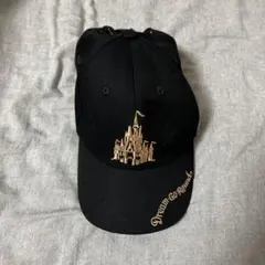 ディズニー 40周年 ランド 帽子 キャップ ミッキー ミニー ドナルド