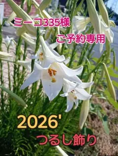 つるし飾り ミーコ335様予約専用