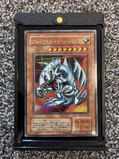 遊戯王 ブルーアイズ・トゥーン・ドラゴン　パラレル
