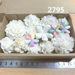 솔라 플라워 2795