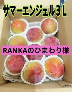 RANKAのひまわり様 朝どりサマーエンジェル特大★9個入り　贈答用のサムネイル