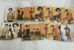 juniormark タレントカード