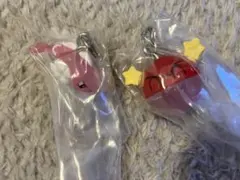 ポケモン　めじるしアクセサリー　シャリタツ　ビリリダマ