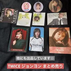 TWICE ジョンヨン まとめ売り 缶バッチ うちわチャーム キーホルダー