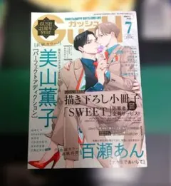 ガッシュ 　2024年 7月号 全サ