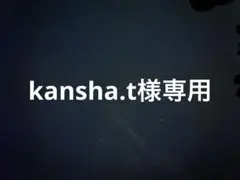 専用