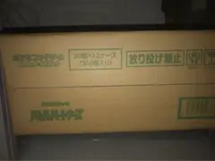 本日限定最安値　バトルパートナーズ 1カートン　切り取り無し
