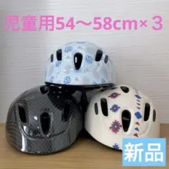 Item thumbnail for item 5a5ddc95-7c96-4cef-bf4d-eae4d3b9cb49