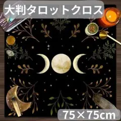 Item thumbnail for item b234ff5f-72c4-460d-a3d4-b1859b334454