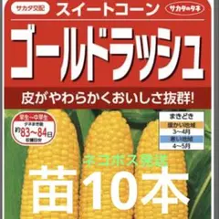 たんたん様 リクエスト 2点 まとめ商品