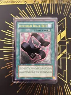 遊戯王 伝説の黒帯 アジア版 亜レリ レリーフ - メルカリ