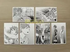 【新品】ハイキュー!! 10thクロニクル フォトカード 日向翔陽