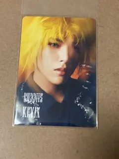 EBiDAN Yes！東京 15周年盤C　通常トレカ　BUDDiiS KEVIN