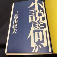 初版】三島由紀夫「小説とは何か」新潮社 - メルカリ