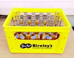 Bireley's ビン用プラスチックケース 24本収納　外観良好‼️