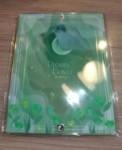 AGF fanfancy アクリルフレーム ドリーミーフラワー グリーン 緑