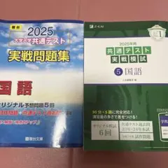 2025年 大学入学共通テスト 国語 問題集