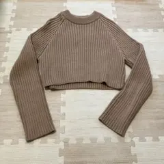 ZARA ベージュ クロップドニット 長袖