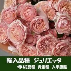 handmade Le Blanche様 リクエスト 2点 まとめ商品