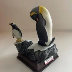 ネイチャーテクニカラー 海遊館ミュージアム オウサマペンギン