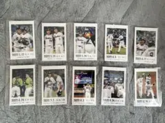 東京ヤクルトスワローズ 2022 ファン感謝DAY チェキ風カード10枚セット