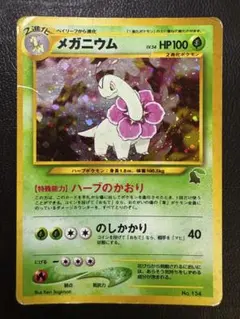 イントロパックNeoのメガニウム:チコリータマーク＆オーダイル:ワニノコマーク イントロパックNeoのメガニウム:チコリータマーク＆オーダイル