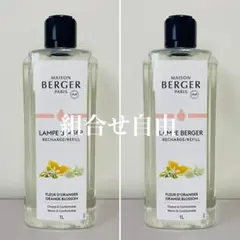 2025年最新】ランプベルジェ ランプの人気アイテム - メルカリ