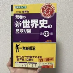 荒巻の(新)世界史の見取り図 : 大学受験世界史 中巻
