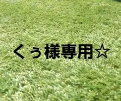 くぅ様　専用☆