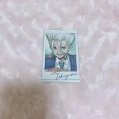 Dr.STONE AMO CAFE 石神千空
