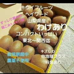 ❇️pキウイフルーツ　　わけあり　小玉　箱いっぱい　コンパクト　山梨県産