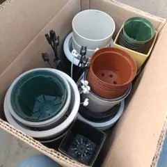 中古　プラ鉢　植木鉢　2〜5号　57個 ガーデニング　多肉植物、観葉植物 C