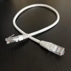 ホワイト LANケーブル 50cm