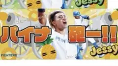 水谷瞬　″ パイナ砲ー!! ”フェイスタオル　 北海道日本ハムファイターズ