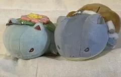ポケモンセンター オリジナル マジパン マスコット カメックス フシギバナ フシギバナ、リザードン、カメックスのOAぬいぐるみが発売 - ポケモンメモ