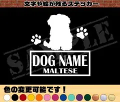 Item thumbnail for item 8bcc95b1-8fd3-4b8a-9d5d-301c8d5cab79