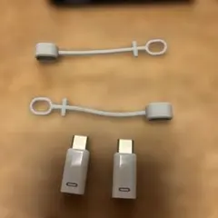 USB-C変換アダプタ 2個セット ホワイト