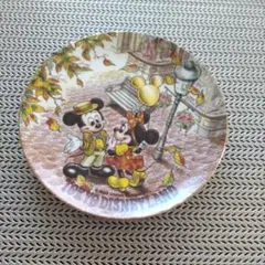 ディズニー ミッキー ミニー 陶器皿