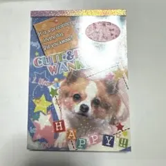 犬のイラスト メモ帳 A5サイズ　平成レトロ