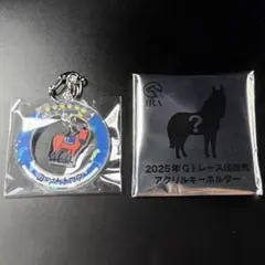 競馬ゼッケン　ロードカナロア 新品未開封品　国内全G1 ケース付き 2026年最新】ロードカナロア馬券の人気アイテム - メルカリ