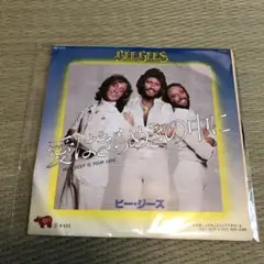 Item thumbnail for item ad5c86ba-89be-4071-a65b-c485bc88f91c