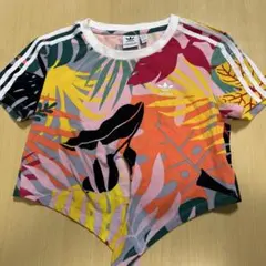 アディダスオリジナルス　半袖Tシャツ　ショート丈　Tシャツ