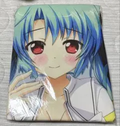 ぬきたし2 ソフマップ特典 B2タペストリー＋ドラマCD 冷泉院桐香