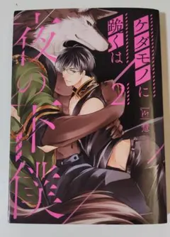 ケダモノに跪くは夜の下僕2　BL漫画　利久BL　B12　まとめ買い