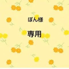 ぽん様専用　おまとめ品